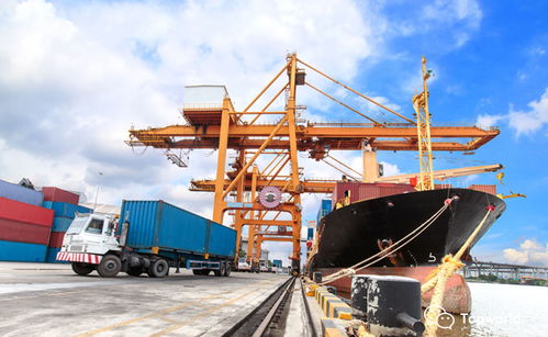 船東提單與貨代提單 核心區(qū)別與貨運代理的關(guān)鍵角色